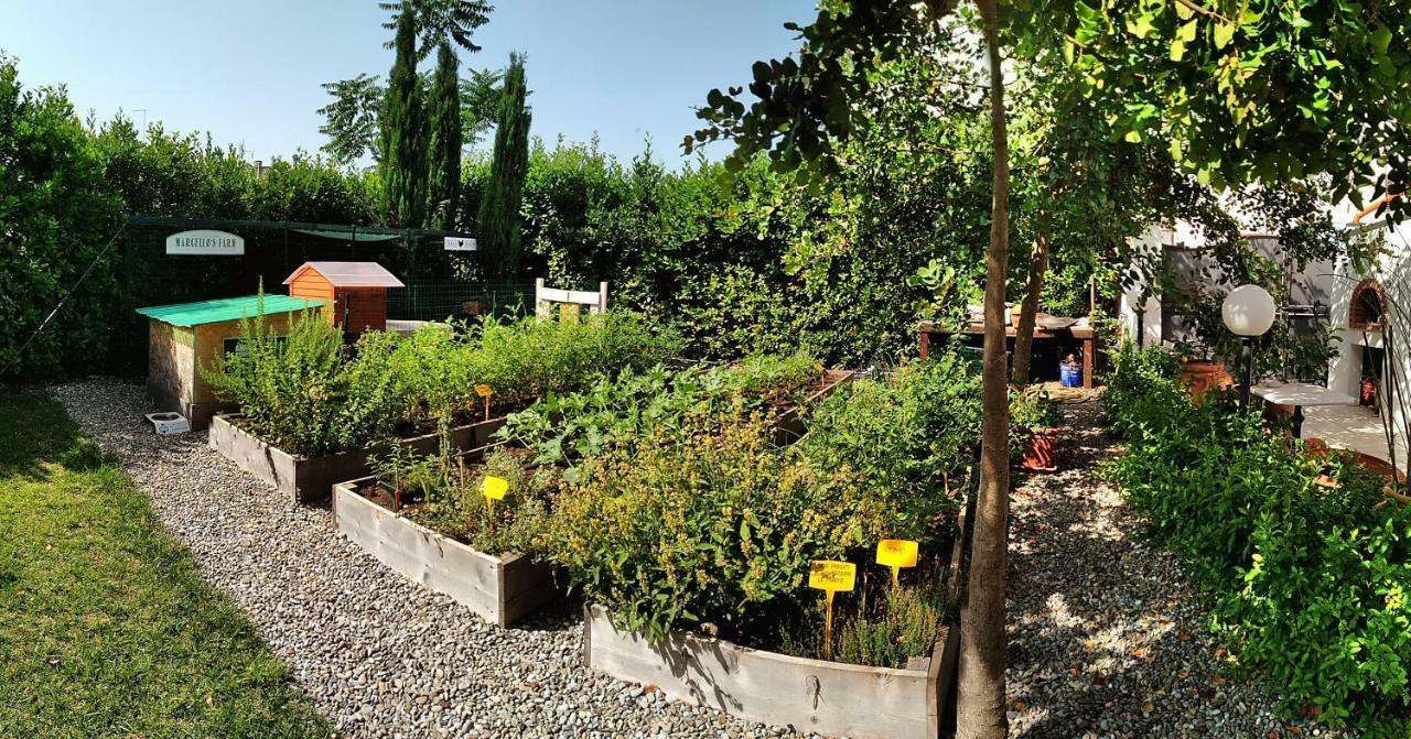 Masseria Urbana Crispiano Экстерьер фото